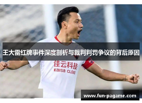 王大雷红牌事件深度剖析与裁判判罚争议的背后原因