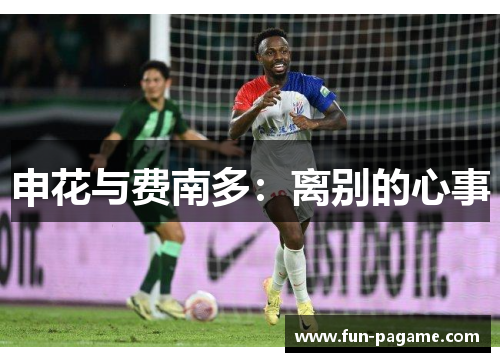 申花与费南多：离别的心事