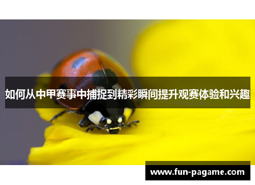 如何从中甲赛事中捕捉到精彩瞬间提升观赛体验和兴趣