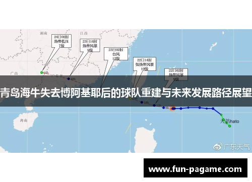 青岛海牛失去博阿基耶后的球队重建与未来发展路径展望