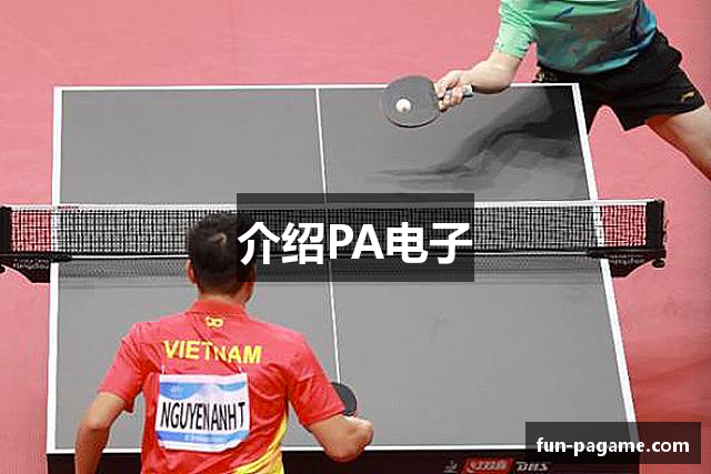 介绍PA电子